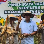 Bupati Erwin Burase Tegaskan Komitmen Dukung Swasembada Pangan pada Panen Raya Jagung Serentak di Torue