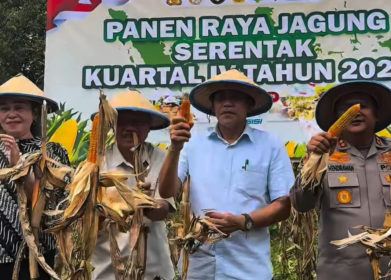 Bupati Erwin Burase Tegaskan Komitmen Dukung Swasembada Pangan pada Panen Raya Jagung Serentak di Torue