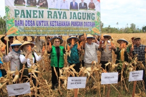 Perkuat Ketahanan Pangan, Wabup Hadiri Panen Raya Jagung di Desa Lobu Mandiri.