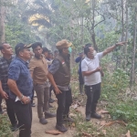 Bupati Parigi Moutong Tinjau Langsung Lokasi Karhutla di Desa Avolua, Upaya Pemadaman Terus Diperkuat